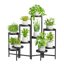 iDavosic.ly 10-Tier Corner Plant Stand, Metal Indoor Outdoor Flower Display Holder Shelf, Folding Tall Orchid Rack for Patio Balcony Porch Garden Living Room, Black 1