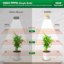 SANSI 20W Full Spectrum LED Puck Grow Lights for Indoor Plants, 4-Head Plant Lamp with Auto On/Off Timer, Ceramic Heat Sink Technology 5