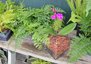 SuperMoss Orchid Potting Bark, 100% Natural White Fir, 3/4 inch, 2 Cu. Ft. 3