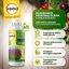 Solabiol Olio Bianco di Soia Concentrato - Biologico - Difesa Piante contro Afidi e Cocciniglia - 2 x 1 LT 2