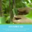 VELCRO Brand ONE-WRAP Garden Ties - Reusable Plant Supports for Staking and Training, Cut-to-Length Roll, 18 ft x 2 in, Green 4