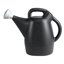Chapin 47998 2-Gallon Watering Can with Tru-Stream Precision Nozzle, Recycled Black Plastic 1