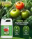 FoxFarm Grow Big Liquid Plant Food 6-4-4 Fertilizer - Concentrated Gallon for Lush Vegetative Growth, Roses, Tomatoes & Vegetables - Indoor Houseplants & Outdoor Garden Nutrient Boost 2
