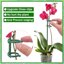 Kit Supporto per Piante in Fibra di Vetro - 110 Pezzi con Tubi di Prolunga e Moschettoni per Pomodori, Orchidee e Piante da Appartamento 6