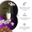 GebEarth Bark per Orchidee Professionale - Corteccia di Pino Naturale 10-15 mm - 3 Litri 3