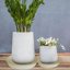 Bleuhome 2 Pack 21 Inch Plant Saucer Round Deep Drip Trays - Heavy Duty Plastic Drainage Trays for Indoor Outdoor Pots and Bird Bath Bowls, Beige 4