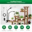 SANSI Lampada LED per Piante da Interno 30W Spettro Completo con 3 Clip a Collo di Cigno e Timer 6