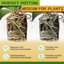 Legigo 8 Quarts Organic Orchid Potting Bark - All Natural Pine Bark Wood Chips for Houseplant Mulch and Root Development 4