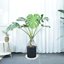 Bleuhome 4 Pack 16 Inch Plant Saucer White - Heavy Duty Plastic Round Drip Trays & Bird Bath Bowls 2