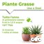 CIFO Concime Liquido Piante Grasse e Succulente 200ml - Fertilizzante con Ferro e Microelementi per Cactacee, Crassulacee e Agavacee - Favorisce Fioritura e Crescita Sana - Made in Italy 4