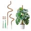 Mcbazel Set Pali in Fibra di Cocco per Monstera e Piante Rampicanti - Supporto Flessibile con Nucleo in Alluminio e Accessori 1