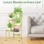 iDavosic.ly 5-Tier Corner Plant Stand, Metal Indoor Outdoor Flower Display Shelf, Folding Tall Orchid Rack for Patio Balcony and Garden, Gold 8