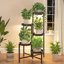 iDavosic.ly 5-Tier Corner Plant Stand with Grow Light, Metal Indoor Outdoor Flower Display Shelf, Folding Tall Orchid Rack for Patio Balcony and Garden, Black 1