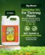 Fox Farm Big Bloom Liquid Plant Food - Organic Flowering & Fruiting Fertilizer with Bat Guano and Earthworm Castings - 2.5 Gallon 2