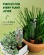 PlanKKers Terracotta Self Watering Spikes - Set of 6 Vacation Plant Watering Devices 6