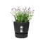 Elho Greenville Round 20 Vaso con serbatoio idrico integrato per Interno/esterno, Plastica Riciclata Ø 19.5 x H 18.4 cm - Nero/Living Black 3
