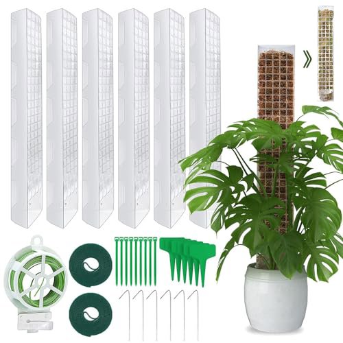 Kit 6 Bastoncini di Muschio in Plastica per Monstera - Supporto Autoirrigante a Forma di D con Picchetti, Etichette e Fascette