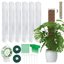 Kit 6 Bastoncini di Muschio in Plastica per Monstera - Supporto Autoirrigante a Forma di D con Picchetti, Etichette e Fascette 1