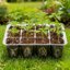 Bonviee 12 Pack Seed Starter Trays with Drainage Holes, Reusable Clear Plastic Seedling Propagation Trays for Root Monitoring 8