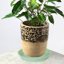Bleuhome 6 Pack Plastic Plant Saucer Water Drip Tray - Heavy Duty Round Drainage Saucers for Indoor and Outdoor Flower Pots 6