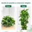 Mcbazel Supporto per Piante Rampicanti 160 cm - Palo in Fibra di Cocco Flessibile per Monstera Deliciosa e Piante da Interno 3