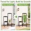 iDavosic.ly Multi-Tier Corner Plant Stand, Metal Indoor Outdoor Flower Display Shelf, Folding Tall Wrought Iron Orchid Rack for Patio Balcony Porch Garden and Living Room 7
