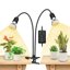 SANSI Lampada per Piante a LED da Interno 20W Spettro Completo con 2 Clip a Collo di Cigno e Timer 1