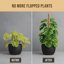 Craft911 Bendable Moss Pole for Monstera and Climbing Plants - 48 Inch Coco Coir Plant Support Stake 7