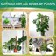 5 Pezzi Palo per Fibra di Cocco per Piante, Supporto Estendibile fino a 160 cm per Monstera e Piante Rampicanti, Bastone Muschiato Naturale per Casa e Giardino 7