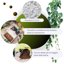 GebEarth Perlite Espansa per Piante in Vaso 3L - Granulometria 2-6 mm - Migliora Drenaggio e Aerazione - Ideale per Piante Grasse, Orchidee e Carnivore 4