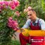 SLARMOR Heavy Duty Cowhide Leather Gardening Gloves - Thorn Proof Rose Pruning Gauntlets for Men and Women 5