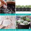 Legigo 6 Quarts Organic Horticultural Perlite - Natural Soil Additive for Drainage, Aeration and Root Growth 4