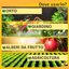 Fitokem Propoli Bioprole 920ml - Potenziatore Naturale Difese Piante - Agricoltura Biologica - Cicatrizzante per Orto, Giardino e Frutteti 5