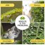 Albagarden Olio di Neem per Piante 1 Litro - Insetticida Naturale Concentrato contro Afidi, Cocciniglia, Acari e Pidocchi - Trattamento Biologico per Orto, Giardino, Fiori e Bonsai 4