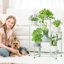iDavosic.ly 6-Tier Corner Plant Stand, Metal Indoor Outdoor Flower Display Shelf, Folding Tall Wrought Iron Orchid Rack for Patio Balcony Porch Garden and Living Room - Light Green 2