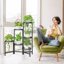iDavosic.ly 6-Tier Corner Plant Stand, Metal Indoor Outdoor Flower Display Shelf, Folding Wrought Iron Orchid Rack for Patio Balcony Garden and Living Room 6