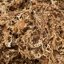 Better-Gro Sphagnum Moss - 100% Natural Long-Fiber Moss for Orchids, Ferns, and Hostas - 240 Cubic Inches 2