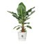 Elho Greenville Round 40 Vaso con serbatoio idrico integrato per Interno/esterno, Plastica Riciclata Ø 39.0 x H 36.8 cm - Bianco/White 3