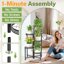iDavosic.ly Multi-Tier Corner Plant Stand, Wrought Iron Metal Flower Display Shelf for Indoor Outdoor Use, Folding Tall Orchid Rack for Patio Balcony Garden and Living Room 2