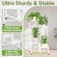 iDavosic.ly 4-Tier Corner Plant Stand, Metal Indoor Outdoor Flower Display Shelf, Folding Tall Wrought Iron Orchid Rack for Patio Balcony Porch Garden and Living Room - White 4