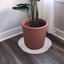 Bleuhome 2 Pack 8 Inch Plant Saucer Clear - Heavy Duty Plastic Round Drip Trays for Indoor & Outdoor Flower Pots 6