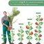 SupKing Adjustable Plant Stakes 16Pcs Set - Fiberglass Orchid Support Sticks with Clips and Ties for Indoor Outdoor Garden 3